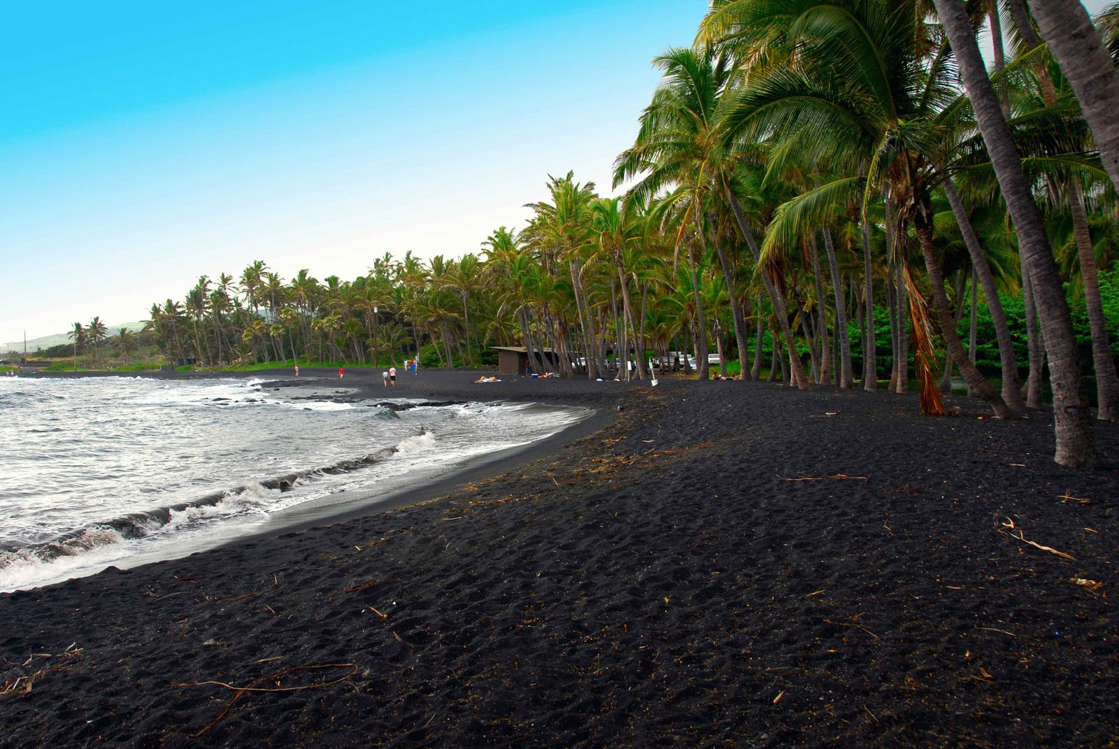 black sand beaches Punalu'u Beach
