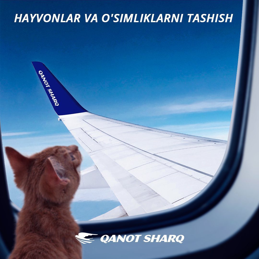 Qanot Sharq airlines aircarft window