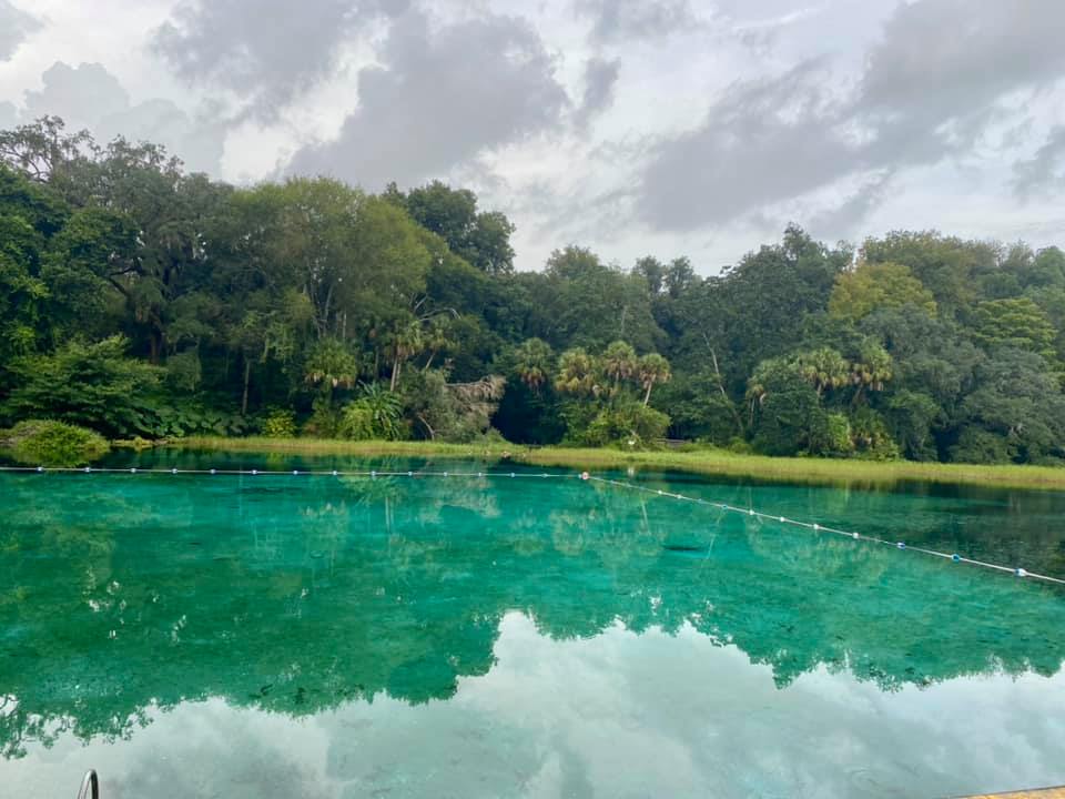rainbow springs state park in florida