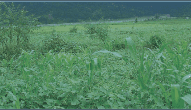 dharan-aviationnepal