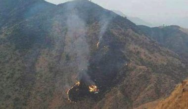 Pakistan plane crash-aviationnepal