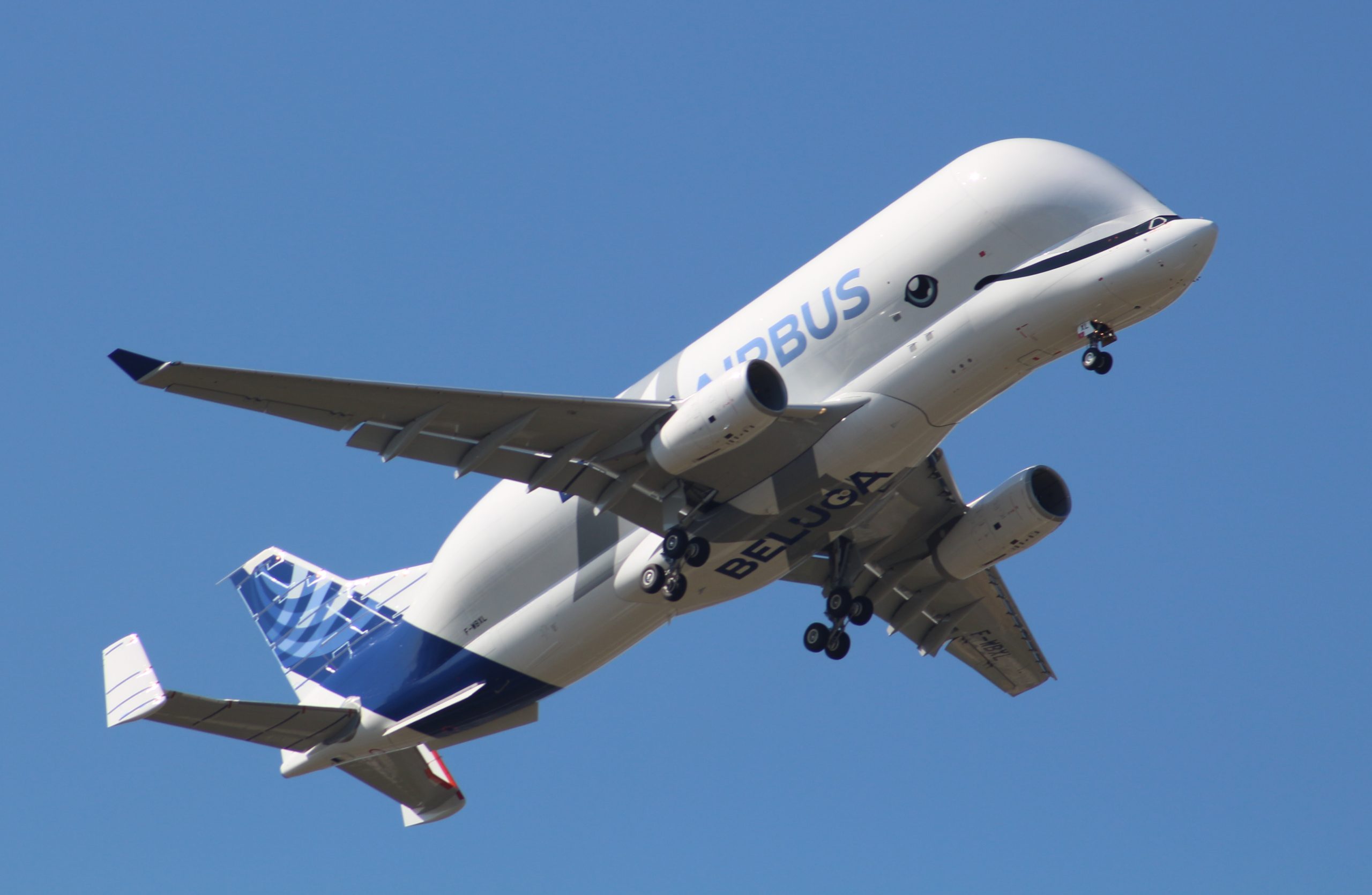 Beluga XL Airbus Replaced The Airbus Beluga - A Cargo Aircraft