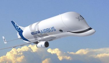 beluga xl airbus