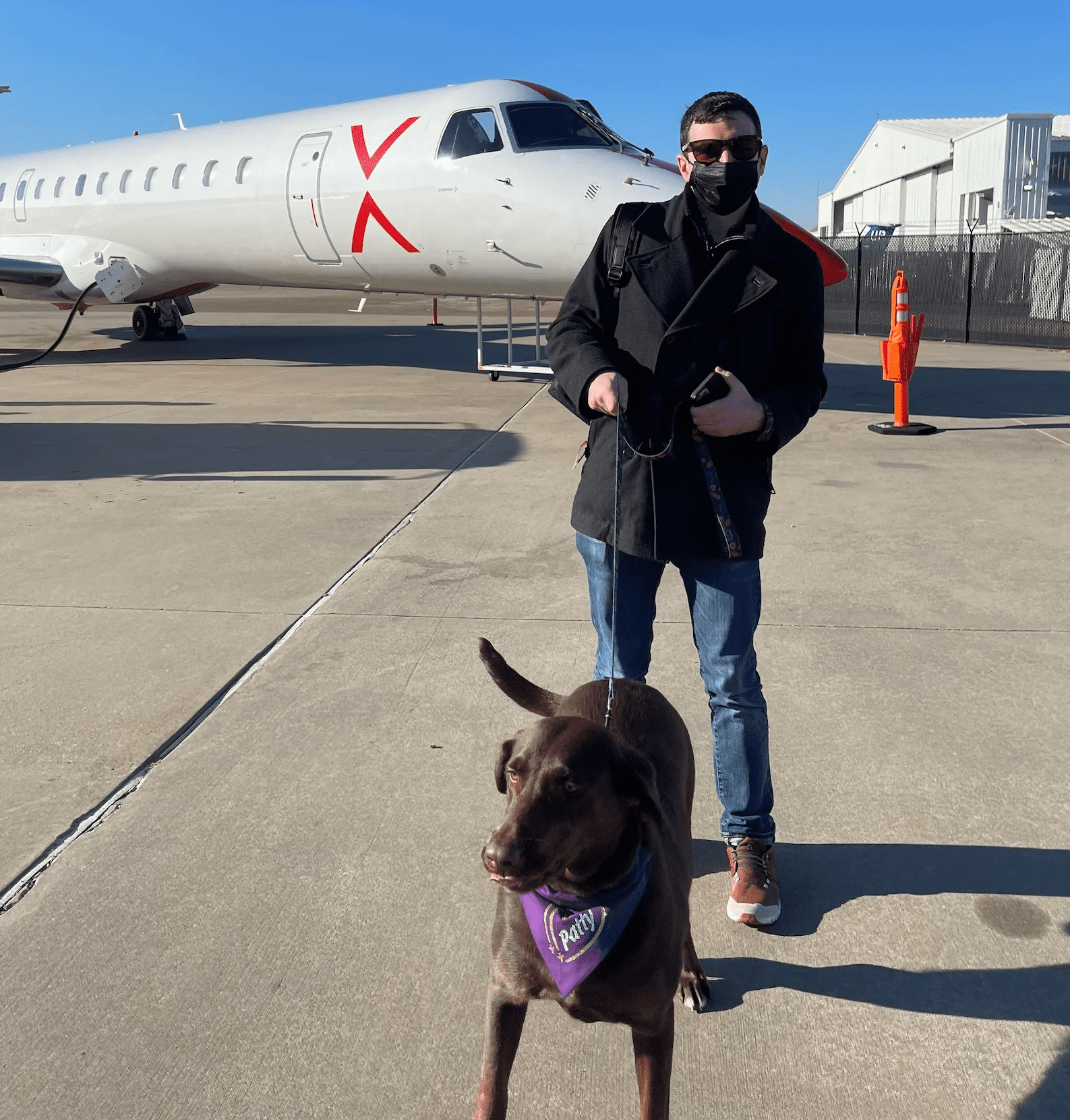 can large dogs fly on planes